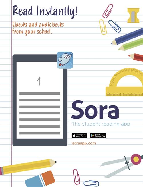 Sora Flyer